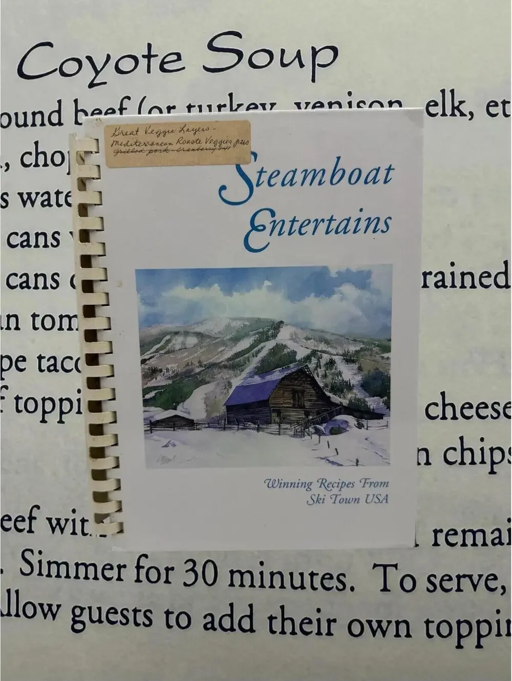 Vintage Steamboat Cookbook: Colorado Local Recipes, 1991 Spiral-Bound